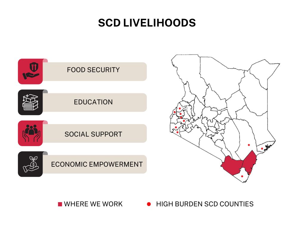 SCD_Livelihoods